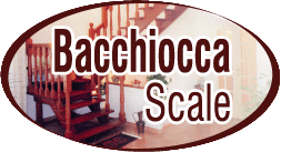 Bacchiocca Scale